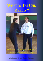 George Xu Chen StyleTai Chi